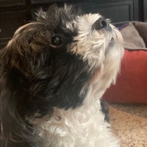 Meet your Posher, Becky